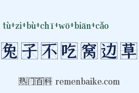 兔子不吃窝边草是什么意思的图片